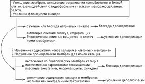 Цитотоксическое действие что это такое. Смотреть фото Цитотоксическое действие что это такое. Смотреть картинку Цитотоксическое действие что это такое. Картинка про Цитотоксическое действие что это такое. Фото Цитотоксическое действие что это такое